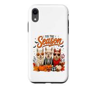 Custodia per iPhone XR Tis The Season Halloween Llama Pumpkin Costume