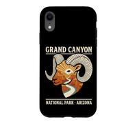 Custodia per iPhone XR Vintage Bighorn Sheep Grand Canyon National Park Arizona