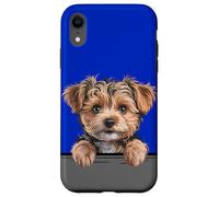 Custodia per iPhone XR Yorkipoo Carino Peeking Yorkie Poo Mix Dog Lover