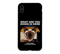 Custodia per iPhone XS Max Cosa stai facendo qui Gatto Siamese Ansioso