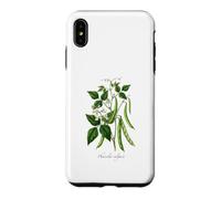 Custodia per iPhone XS Max Illustrazione della pianta del fagiolo francese Phaseolus vulgaris