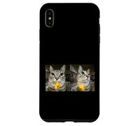 Custodia per iPhone XS Max Meme di Silly Staring Cat, divertente disegno felino