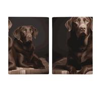 Custodia per passaporto da viaggio con labrador retriever, con scomparti per carte di credito e carta d'imbarco, organizer per documenti d'identità e documenti di famiglia (20 x 13 cm)