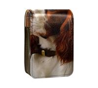 Custodia per rossetto,borsa per trucco portatile,custodia per cosmetici,organizer per trucco,Simpatico cane cavalier king charles spaniel