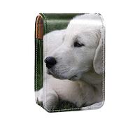 Custodia per rossetto con motivo a forma di cane, borsa portatile per il trucco, custodia organizer da viaggio per rossetto, con specchio, mini scatola portaoggetti per rossetto da donna, Multicolore,