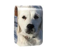 Custodia per rossetto da esterno con motivo di cane, organizer portatile per rossetti, con specchio, mini borsa per il trucco, contiene fino a 3 rossetti, Multicolore, 9.5x2x7 cm/3.7x0.8x2.7 in