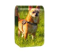 Custodia per rossetto da esterno con motivo di cane, organizer portatile per rossetti, con specchio, mini borsa per il trucco, contiene fino a 3 rossetti, Multicolore, 9.5x2x7 cm/3.7x0.8x2.7 in
