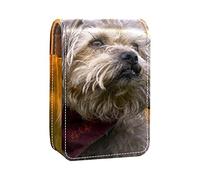 Custodia per rossetto da esterno con simpatico cane, organizer portatile per rossetti, con specchio, mini borsa per il trucco, contiene fino a 3 rossetti, Multicolore, 9.5x2x7 cm/3.7x0.8x2.7 in