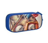 Custodia per scuola Forniture per ufficio Anatomia umana Grafico cardiaco Astuccio per penne di grande capacità Astuccio per matite di grande capacità per studenti Astuccio di cancelleria Scatola di