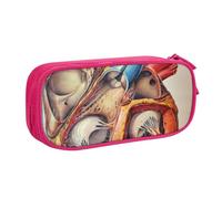 Custodia per scuola Forniture per ufficio Anatomia umana Grafico cardiaco Astuccio per penne di grande capacità Astuccio per matite di grande capacità per studenti Astuccio di cancelleria Scatola di
