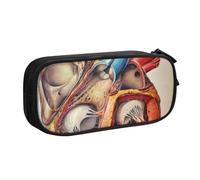 Custodia per scuola Forniture per ufficio Anatomia umana Grafico cardiaco Astuccio per penne di grande capacità Astuccio per matite di grande capacità per studenti Astuccio di cancelleria Scatola di