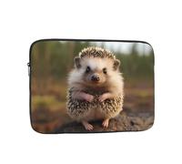 Custodia portatile antiurto per laptop da 17 pollici con simpatica stampa di riccio, per viaggi di lavoro, scuola e ufficio, per uso quotidiano da uomo e donna