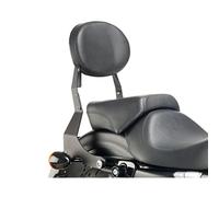 CUSTOM ACCES SCHIENALINO REMOVIBILE HARLEY D. SPORTSTER 1200 FORTY-EIGHT SPECIAL