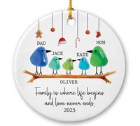 Custom Family is Where Life Begins and Love Never Ends Ornamento, Famiglie di cinque uccellini, ornamenti in ceramica con pezzi in acrilico, nomi personalizzati, famiglia di 5 ornamenti natalizi