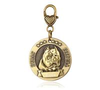 Custom4U Targhette Metalliche in Ottone Buliy Pitbull - Targhette per Cani Personalizzate incise per Animali Domestici - Robusta targhetta identificativa per Collare per Cani