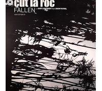 Cut La Roc Feat Gary Lightbody - Fallen