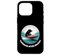 Cute Bear Lake Utah and Idaho Caribbean of the Rockies Custodia per iPhone 16 Pro