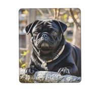 Cute Black Pug Dog Tappetino Scrivania Lavabile Mouse Pad Piccolo Tappetino per Mouse for Ufficio Laptop Gaming 25X30Cm