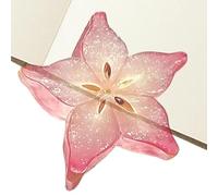 Cute Bookmarks, Acrylic Fruit Slice, 3.15x3.94 Inches School Supplies Grip, Small Reading Tool with Balance, Classroom Office Ornament with Style, Home Accessories for Adults Student Teacher Readers