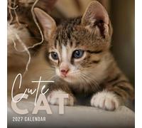 Cute Cats Calendar 2027: Cat Photography and Everyday Scenes