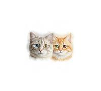 Cute Cats Lined Notebook: A Purrfectly Adorable Lined Journal for Cat Lovers