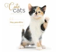 Cute Cats Square Wall Calendar 2025