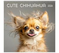 Cute Chihuahua (Wall Calendar 2026 12" x 24" / 30 x 60 cm (open)) CALVENDO 12 Month Wall Calendar