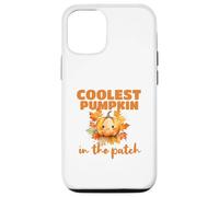 Cute Coolest Pumpkin in the Patch Halloween Thanksgiving Custodia per iPhone 12/12 Pro