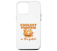 Cute Coolest Pumpkin in the Patch Halloween Thanksgiving Custodia per iPhone 12 Pro Max