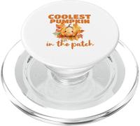 Cute Coolest Pumpkin in the Patch Halloween Thanksgiving PopSockets PopGrip per MagSafe