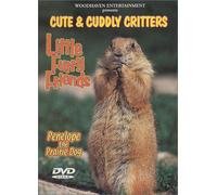 Cute & Cuddly Critters - Little Furry Friends