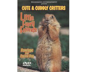 Cute & Cuddly Critters - Little Furry Friends