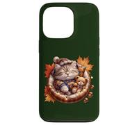 Cute Fall Cat Graphic For Cat Grandma And Autumn Kitten Mom Custodia per iPhone 13 Pro