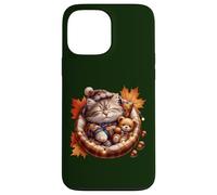 Cute Fall Cat Graphic For Cat Grandma And Autumn Kitten Mom Custodia per iPhone 13 Pro Max