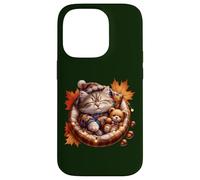 Cute Fall Cat Graphic For Cat Grandma And Autumn Kitten Mom Custodia per iPhone 14 Pro