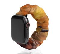 Cute Fox Hedgehog Wildlife Scrunchie Cinturino morbido elastico di ricambio compatibile con Apple Watch, 38mm/40mm, Acciaio inossidabile, Nessuna pietra preziosa