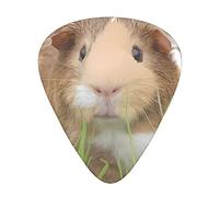 Cute Guinea Pig * Plettri per chitarra Confezione da 12, Sensazione confortevole, Bordi lisci, Abrasione, Adatto per chitarra, Ukulele, ecc.