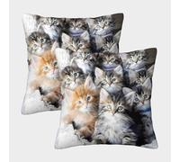 Cute Kitten Cluster-Soft Fluffy Baby Cats Federe Cuscini Per Divano Decorative Art Fodere Per Cuscini 2 Pezzi Quadrate Poliestere Per Divani Giardino 40x40cm