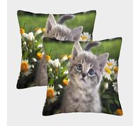 Cute Kitten-fluffy Tabby Style Federe Cuscini Per Divano Decorativa Art Fodere Cuscino Confezione Da 2 Cerniera Invisibile Letto Casa Camera 45x45cm