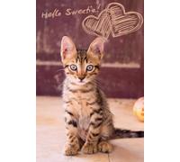 Cute Kitten Notebook: Cat Lovers Notebook | Cute Kitten Notebook | Sweet Kitty Notebook| Cat Notebook