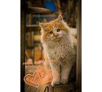 Cute Kitten Notebook: Sweet Cat Notebook | Cute Kitten Notebook | Sweet Kitty Notebook| Cat Notebook