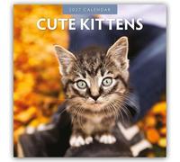 Cute Kittens 2027 Square Wall Calendar