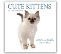 Cute Kittens - Niedliche Kätzchen 2026 - 16-Monatskalender: Original Gifted Stationery-Kalender [Mehrsprachig] [Kalender]