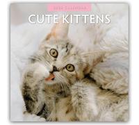 Cute Kittens - Niedliche Kätzchen 2026 - 16-Monatskalender: Original Red Robin Publishing Ltd-Kalender [Mehrsprachig] [Kalender]