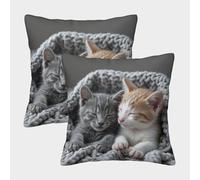 Cute Kittens-Soft Cozy Nap Style Federe Cuscini Per Divano Decorativa Art Fodere Cuscino Set 2 Pezzi Cerniera Invisibile Da Letto Per Salotto 50x50cm