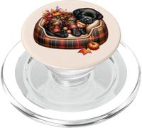 Cute Labrador Retriever Stuff Autumn Vibes For Cozy Season PopSockets PopGrip per MagSafe