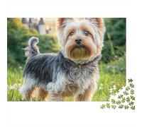 Cute Pet Dog 1000 Pezzi Puzzle Divertente Intrattenimento Creativo Biewer Terrier in Garden Puzzle Sfide Divertenti Per Regali 52x38cm/1000pcs