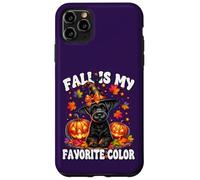 Cute Schnauzer Halloween Pumpkin Fall Is My Favorite Color Custodia per iPhone 11 Pro Max