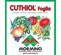 CUTHIOL FOGLIA MORMINO RAME E ZOLFO LIQUIDO 1,5 KG FUNGICIDA