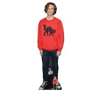 Cutout / Standee In Cartone A Grandezza Naturale E Mini Di Matthew Gray Gubler